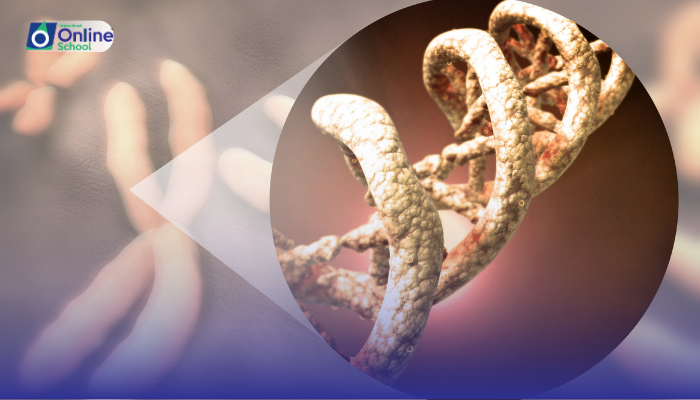 Lesson 04: Description of the Concept of Gene and Gene Locus